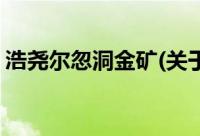 浩尧尔忽洞金矿(关于浩尧尔忽洞金矿的简介)