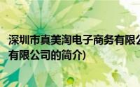 深圳市真美淘电子商务有限公司(关于深圳市真美淘电子商务有限公司的简介)