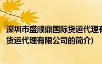 深圳市盛顺鼎国际货运代理有限公司(关于深圳市盛顺鼎国际货运代理有限公司的简介)