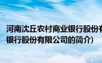 河南沈丘农村商业银行股份有限公司(关于河南沈丘农村商业银行股份有限公司的简介)