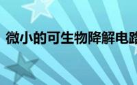 微小的可生物降解电路 用于释放体内止痛药