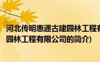 河北传明惠通古建园林工程有限公司(关于河北传明惠通古建园林工程有限公司的简介)