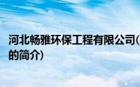 河北畅雅环保工程有限公司(关于河北畅雅环保工程有限公司的简介)