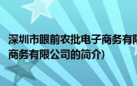 深圳市眼前农批电子商务有限公司(关于深圳市眼前农批电子商务有限公司的简介)