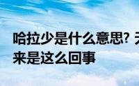 哈拉少是什么意思? 无情哈拉少小鸟伏特加原来是这么回事