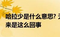 哈拉少是什么意思? 无情哈拉少小鸟伏特加原来是这么回事