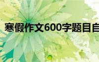 寒假作文600字题目自拟（寒假作文600字）