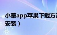 小草app苹果下载方法（小草app苹果版怎么安装）