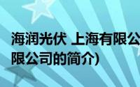 海润光伏 上海有限公司(关于海润光伏 上海有限公司的简介)