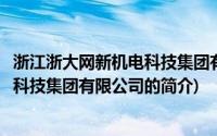 浙江浙大网新机电科技集团有限公司(关于浙江浙大网新机电科技集团有限公司的简介)