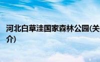 河北白草洼国家森林公园(关于河北白草洼国家森林公园的简介)