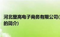 河北登高电子商务有限公司(关于河北登高电子商务有限公司的简介)