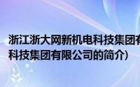 浙江浙大网新机电科技集团有限公司(关于浙江浙大网新机电科技集团有限公司的简介)