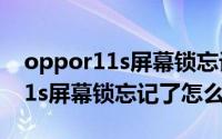 oppor11s屏幕锁忘记了怎么解锁（oppor11s屏幕锁忘记了怎么解锁）