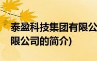 泰盈科技集团有限公司(关于泰盈科技集团有限公司的简介)