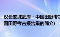 汉长安城武库：中国田野考古报告集(关于汉长安城武库：中国田野考古报告集的简介)