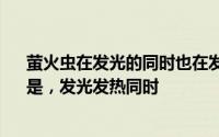 萤火虫在发光的同时也在发热吗1、不是，萤光是冷光 2、是，发光发热同时