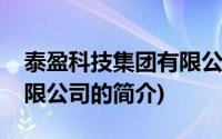 泰盈科技集团有限公司(关于泰盈科技集团有限公司的简介)