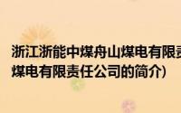 浙江浙能中煤舟山煤电有限责任公司(关于浙江浙能中煤舟山煤电有限责任公司的简介)