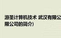 游圣计算机技术 武汉有限公司(关于游圣计算机技术 武汉有限公司的简介)