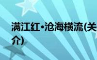 满江红·沧海横流(关于满江红·沧海横流的简介)