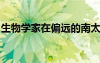 生物学家在偏远的南太平洋岛屿寻找粘液霉菌