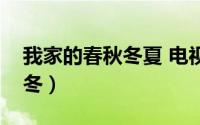 我家的春秋冬夏 电视剧演员表（我的春夏秋冬）