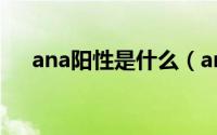 ana阳性是什么（ana阳性是什么意思）