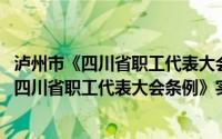 泸州市《四川省职工代表大会条例》实施细则(关于泸州市《四川省职工代表大会条例》实施细则的简介)