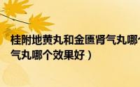 桂附地黄丸和金匮肾气丸哪个效果好（桂附地黄丸和金匮肾气丸哪个效果好）