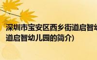 深圳市宝安区西乡街道启智幼儿园(关于深圳市宝安区西乡街道启智幼儿园的简介)