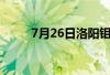 7月26日洛阳钼业股票上涨3 56%