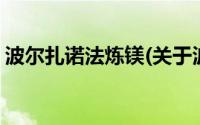 波尔扎诺法炼镁(关于波尔扎诺法炼镁的简介)