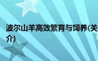 波尔山羊高效繁育与饲养(关于波尔山羊高效繁育与饲养的简介)