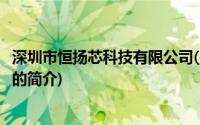 深圳市恒扬芯科技有限公司(关于深圳市恒扬芯科技有限公司的简介)