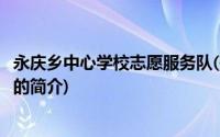 永庆乡中心学校志愿服务队(关于永庆乡中心学校志愿服务队的简介)