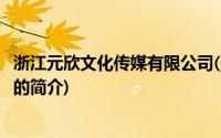 浙江元欣文化传媒有限公司(关于浙江元欣文化传媒有限公司的简介)