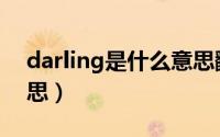 darling是什么意思翻译（darling是什么意思）