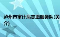 泸州市审计局志愿服务队(关于泸州市审计局志愿服务队的简介)