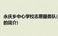 永庆乡中心学校志愿服务队(关于永庆乡中心学校志愿服务队的简介)