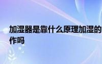 加湿器是靠什么原理加湿的 加湿器的原理是什么 加湿器工作吗