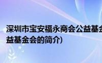 深圳市宝安福永商会公益基金会(关于深圳市宝安福永商会公益基金会的简介)