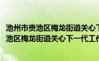 池州市贵池区梅龙街道关心下一代工作委员会(关于池州市贵池区梅龙街道关心下一代工作委员会的简介)