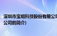 深圳市宝明科技股份有限公司(关于深圳市宝明科技股份有限公司的简介)