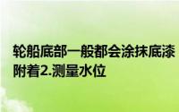 轮船底部一般都会涂抹底漆 主要原因包括？1.防止海洋生物附着2.测量水位