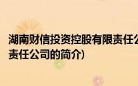 湖南财信投资控股有限责任公司(关于湖南财信投资控股有限责任公司的简介)