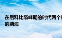 在后科比巅峰期的时代两个球员的名字先后印刻入了球迷们的脑海