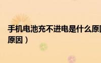 手机电池充不进电是什么原因新（手机电池充不进电的三大原因）