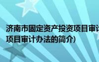 济南市固定资产投资项目审计办法(关于济南市固定资产投资项目审计办法的简介)