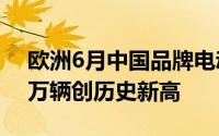 欧洲6月中国品牌电动汽车新增登记量超2.3万辆创历史新高